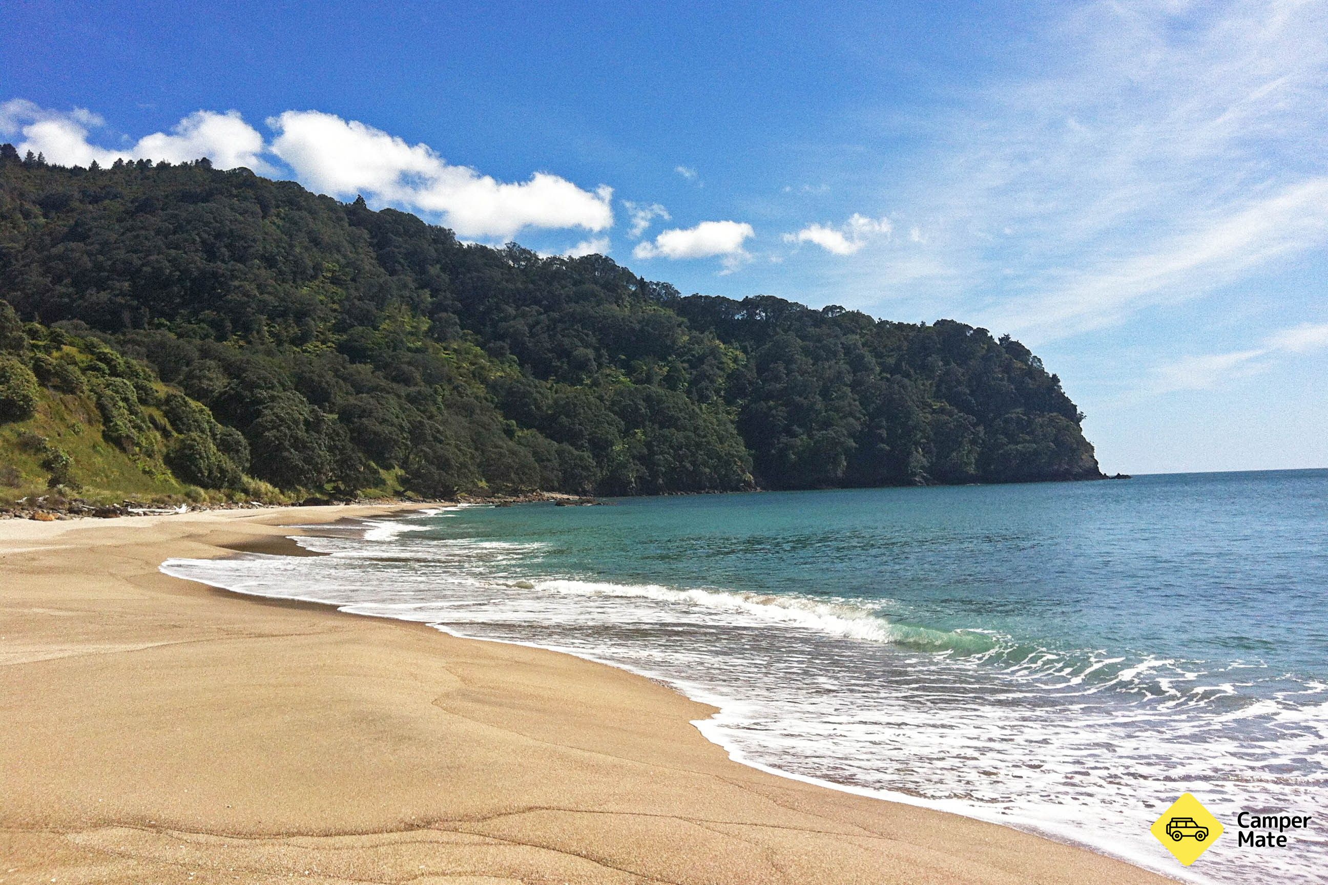 Orokawa Scenic Reserve Track