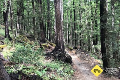 TeeTotal Mountain Bike Loops And Walks