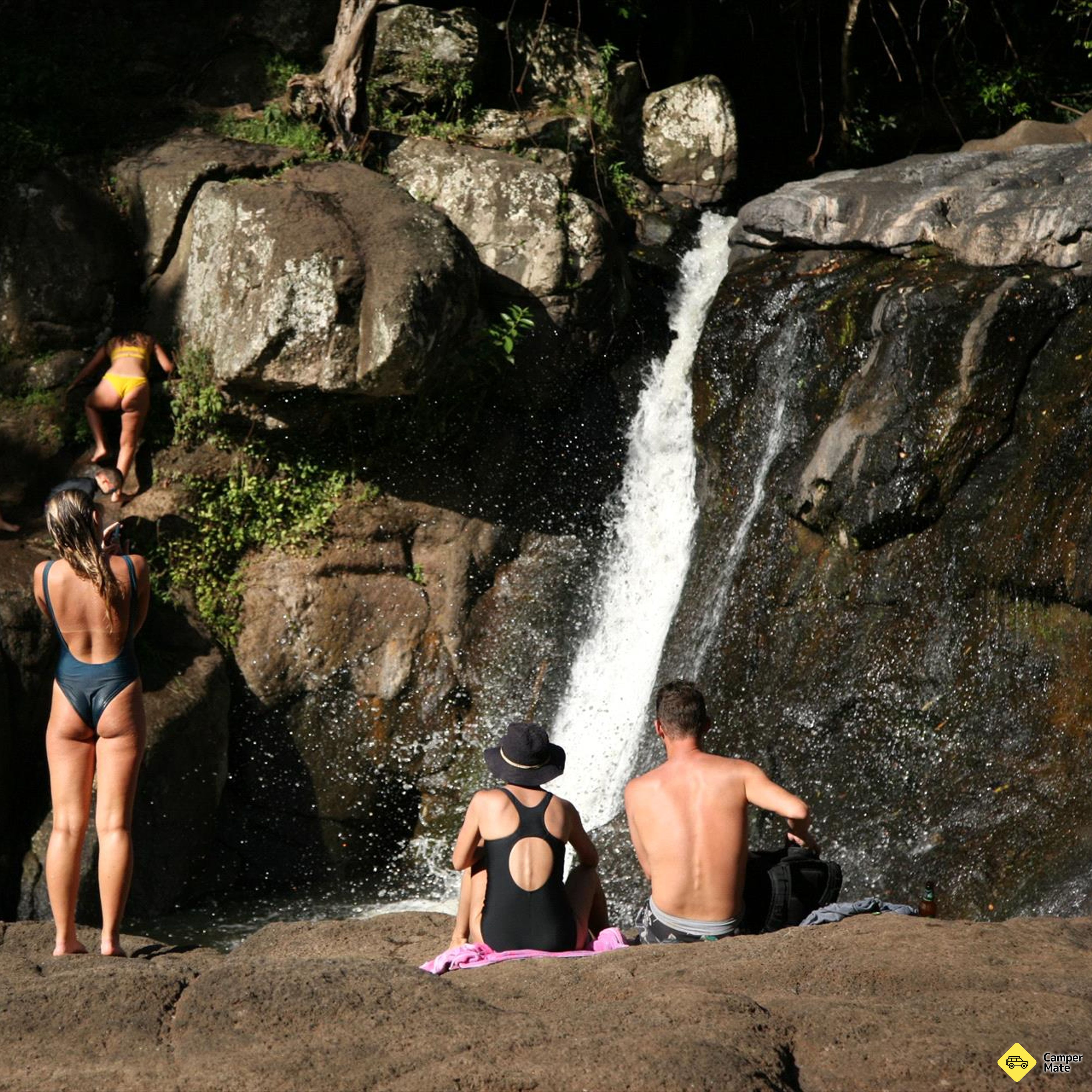 Glowworm and Waterfalls Tour - Image 2