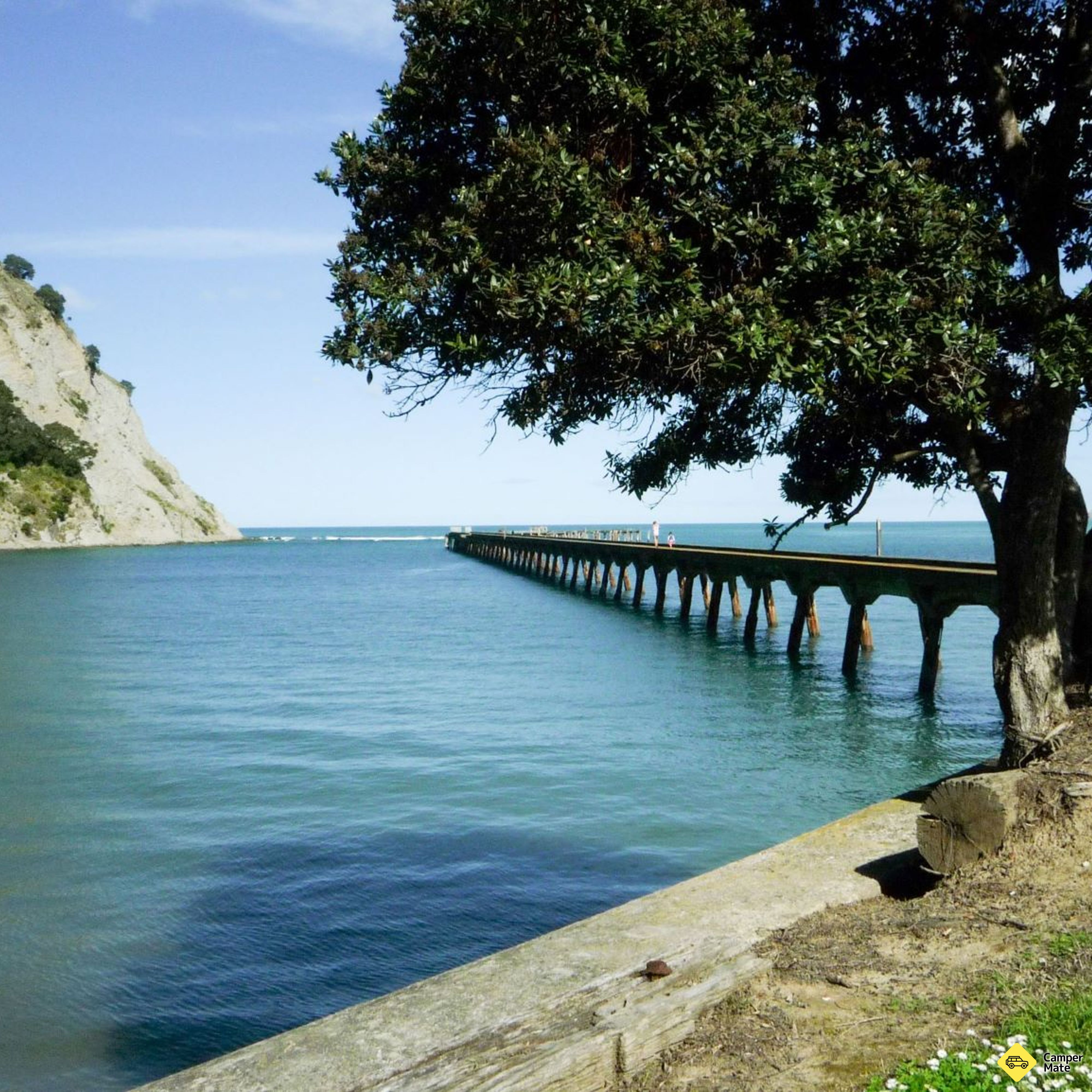 Rejser til Tokomaru Bay Wharf - Image 2