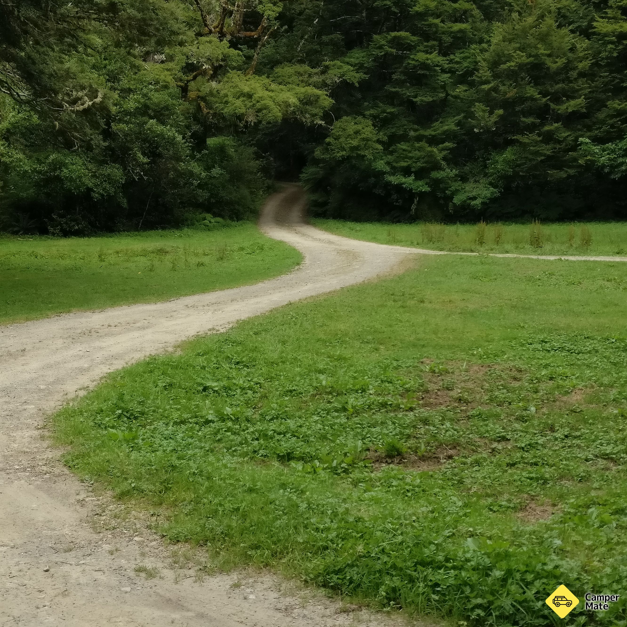 Te Taita A Makoro Campsite - Image 2