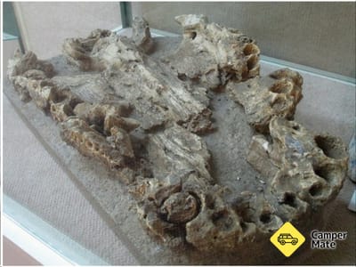Pioneer Valley Museum 근처 오락거리