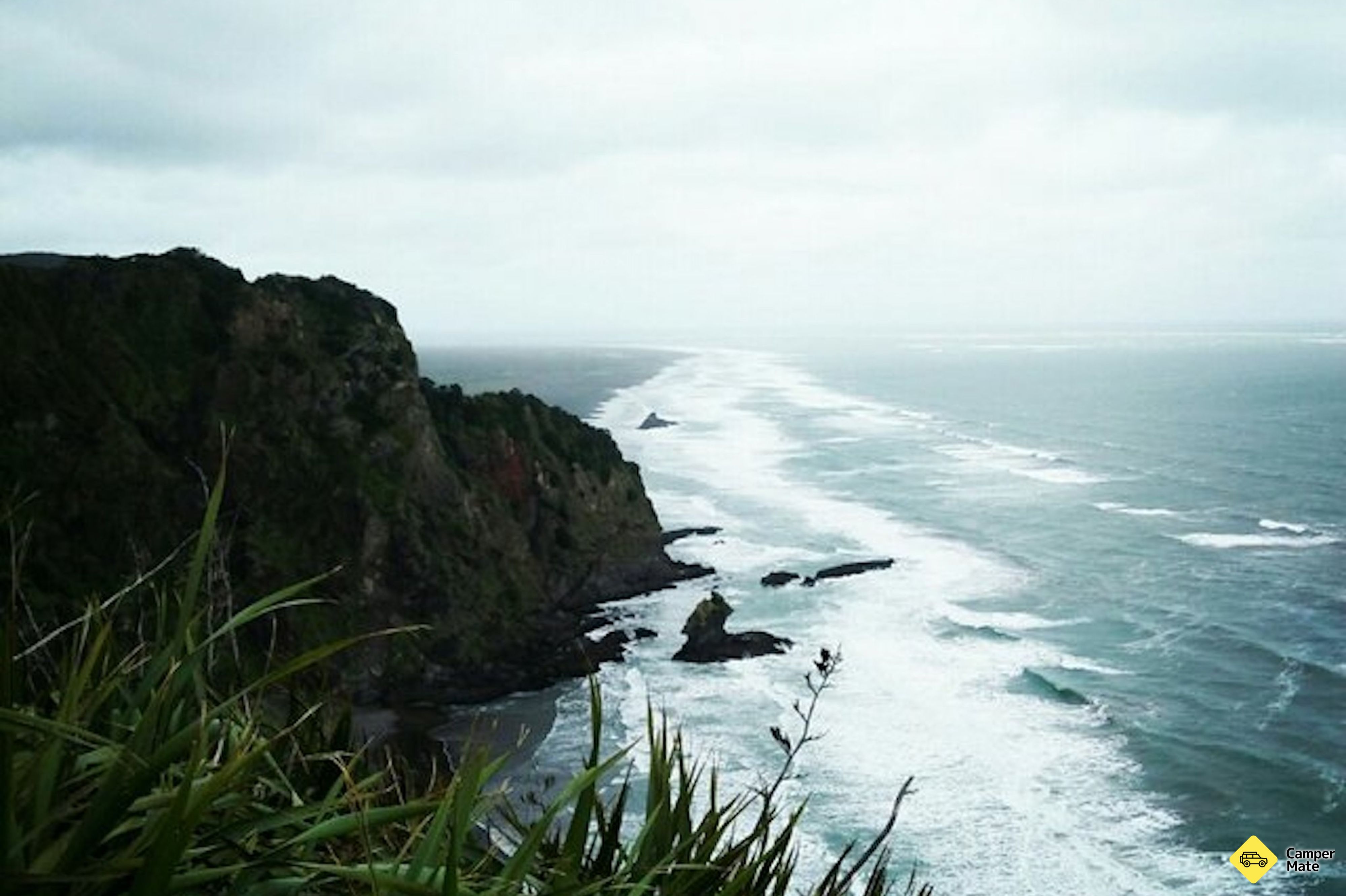 Mercer Bay Loop Walk - Image 3