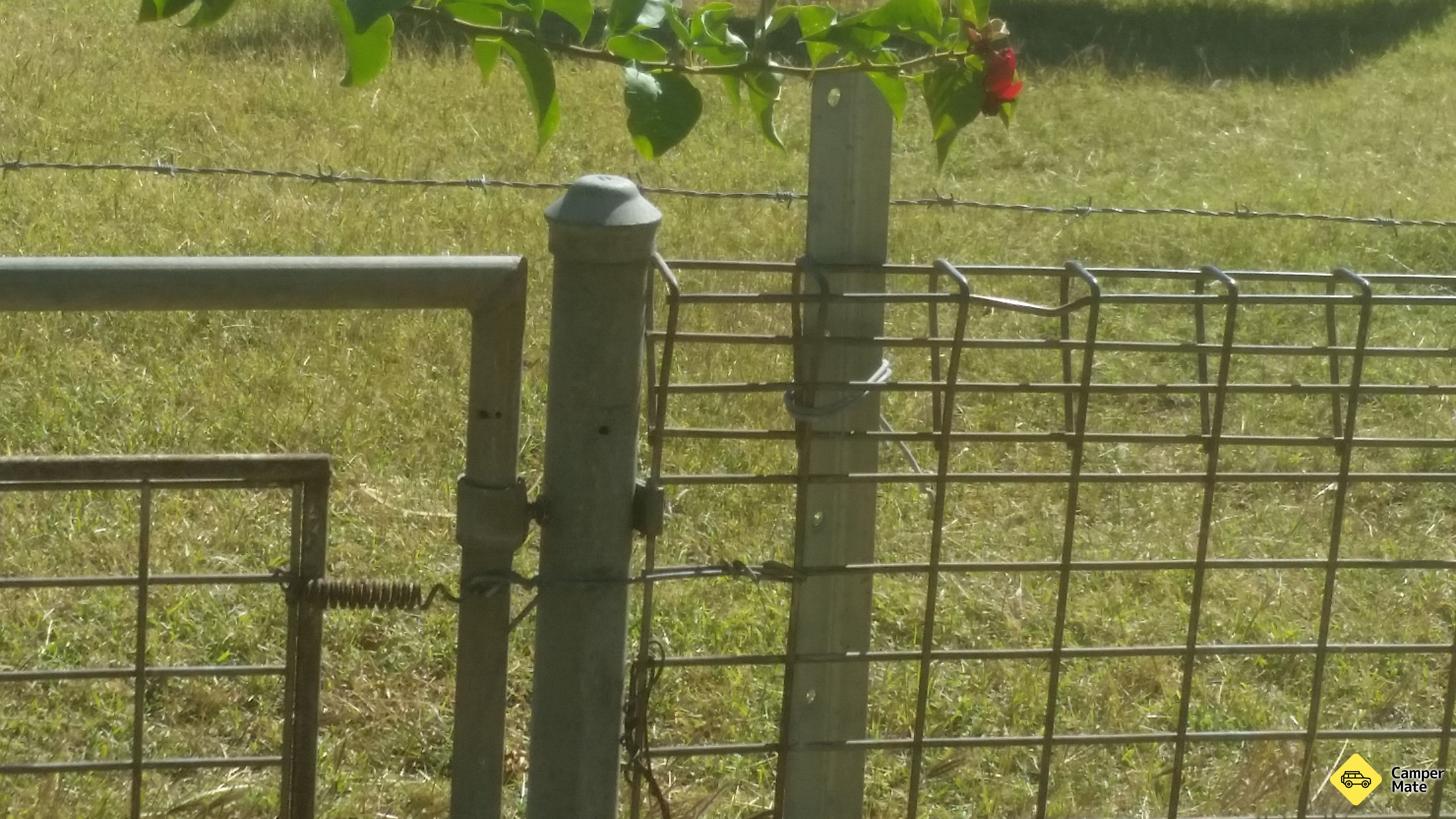 Boulia Caravan पार्क