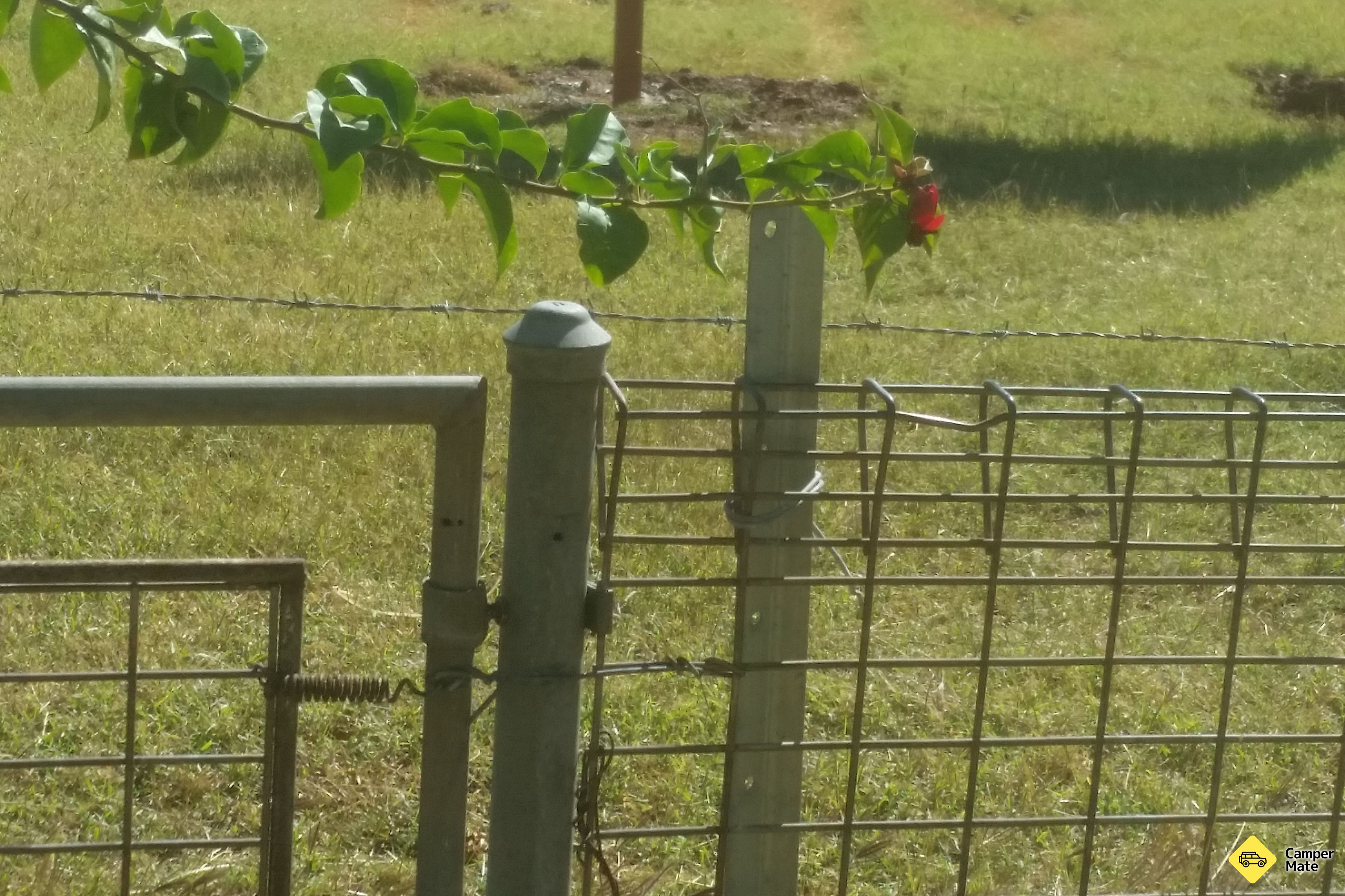 Boulia Caravan पार्क