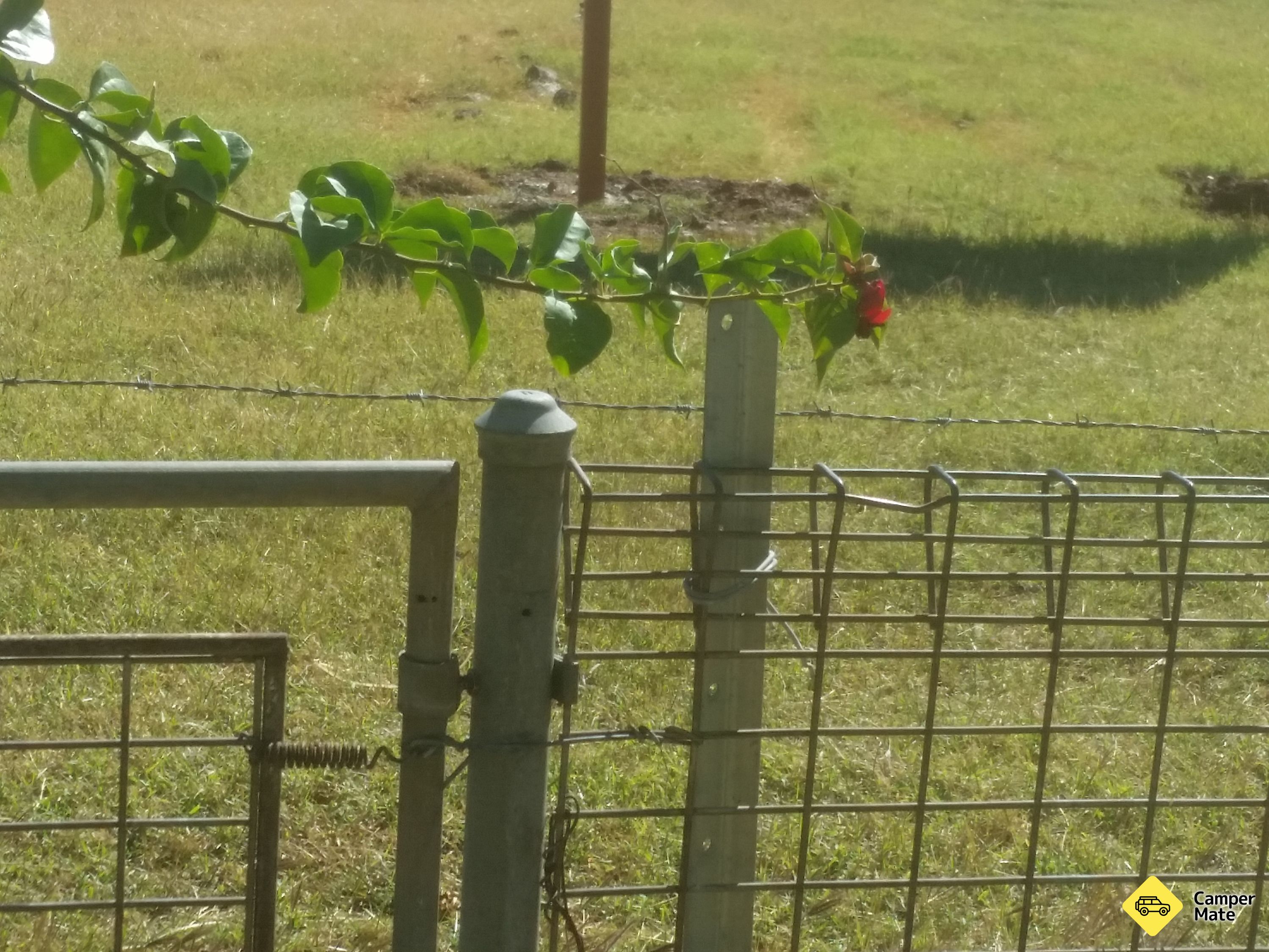 Boulia Caravan पार्क