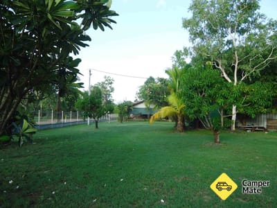 Pandanus on Litchfield