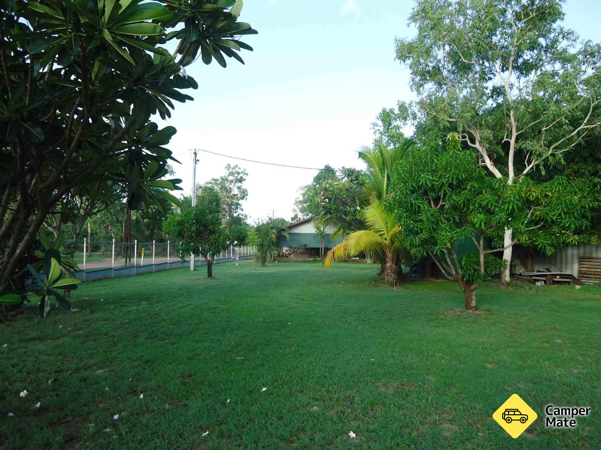 Pandanus on Litchfield
