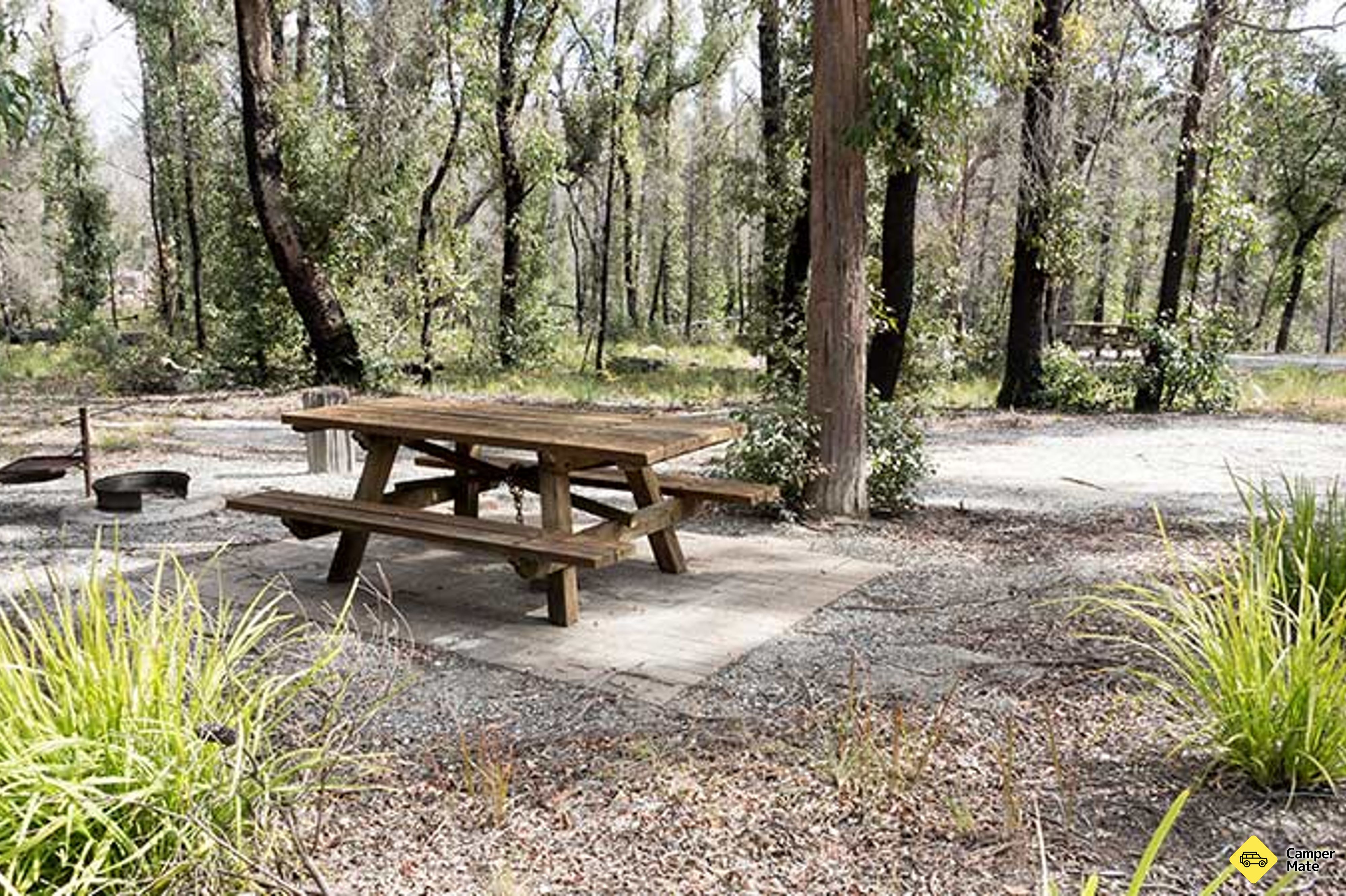 Cypress Pine Campground