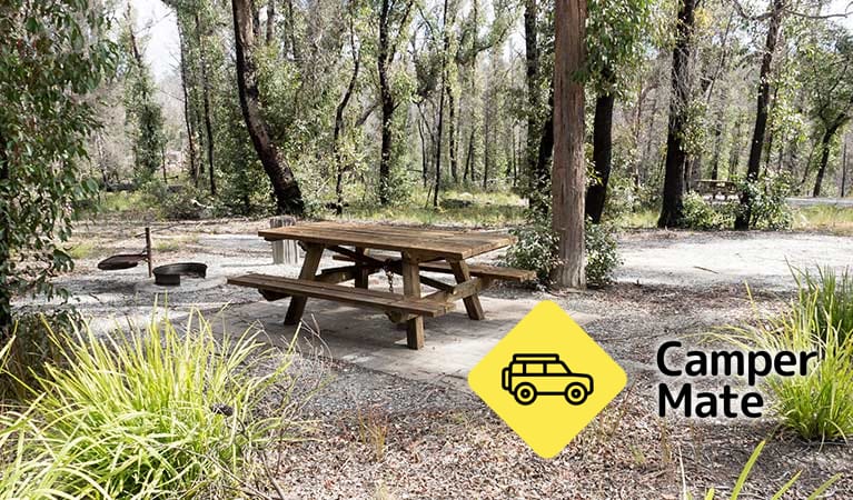 Cypress Pine Campground