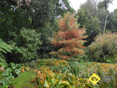 Hollard Garden