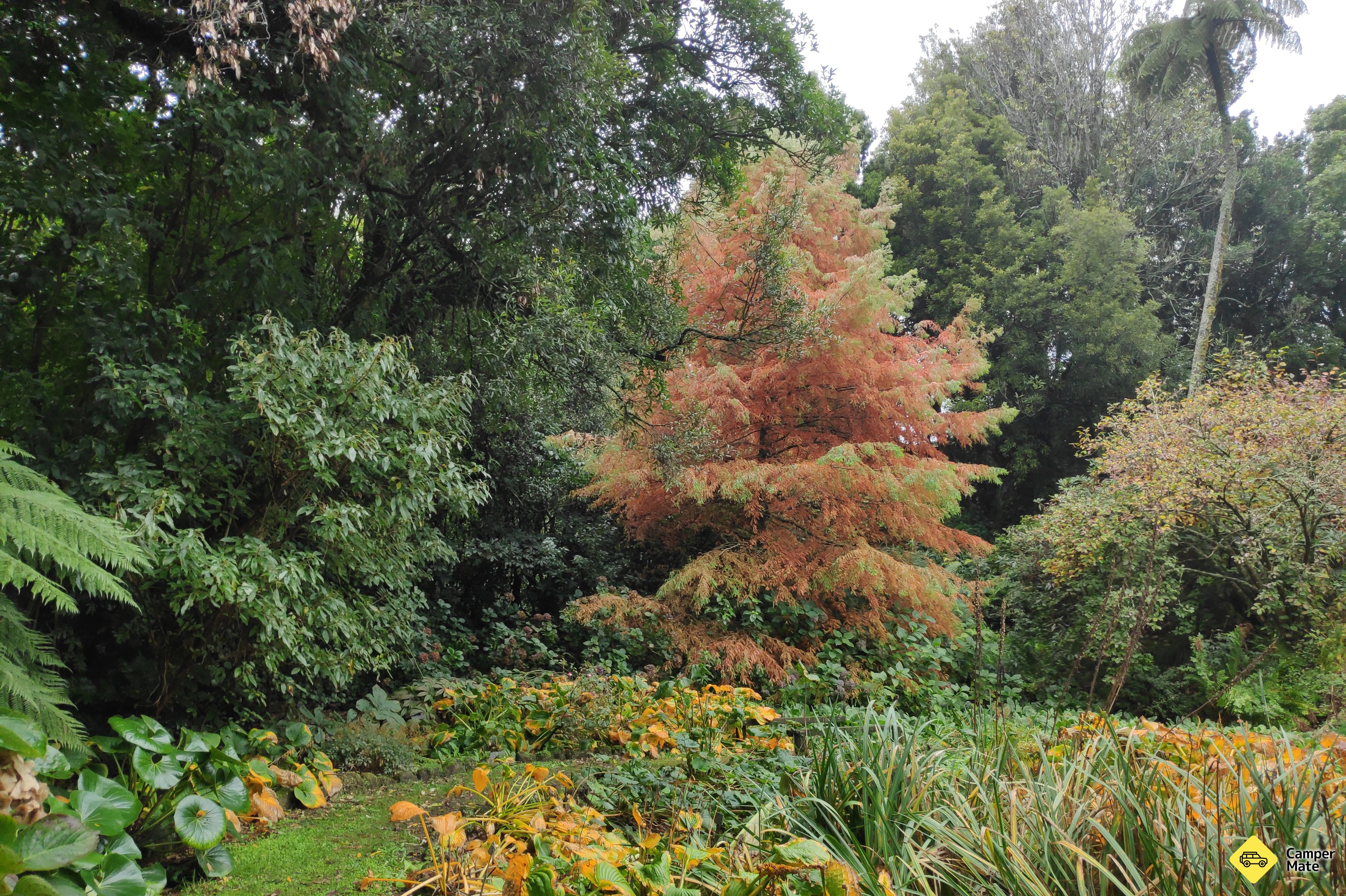 Hollard Garden