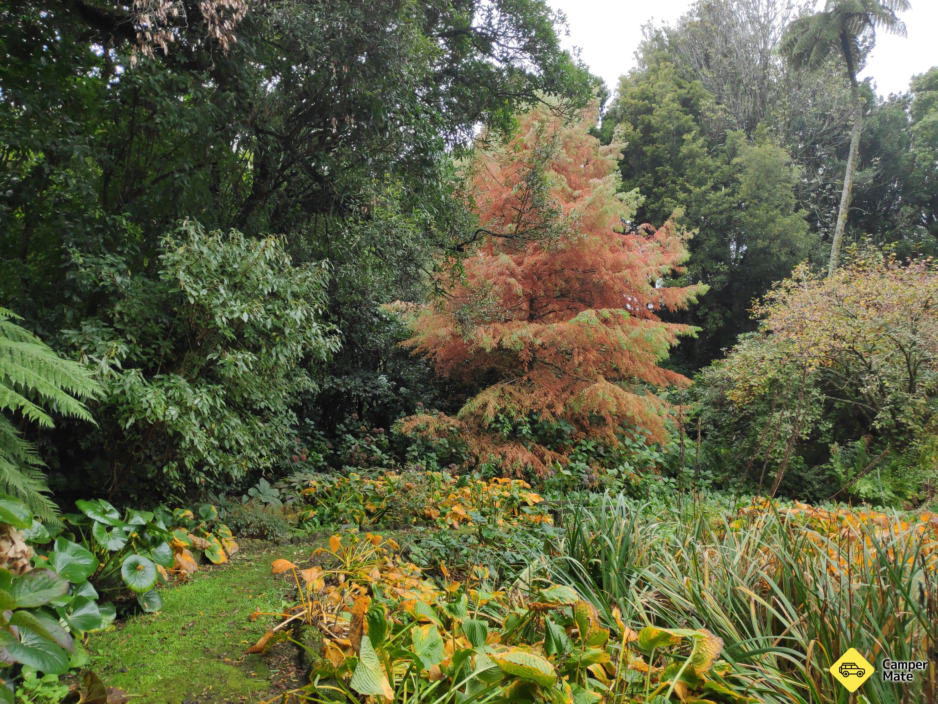 Hollard Garden