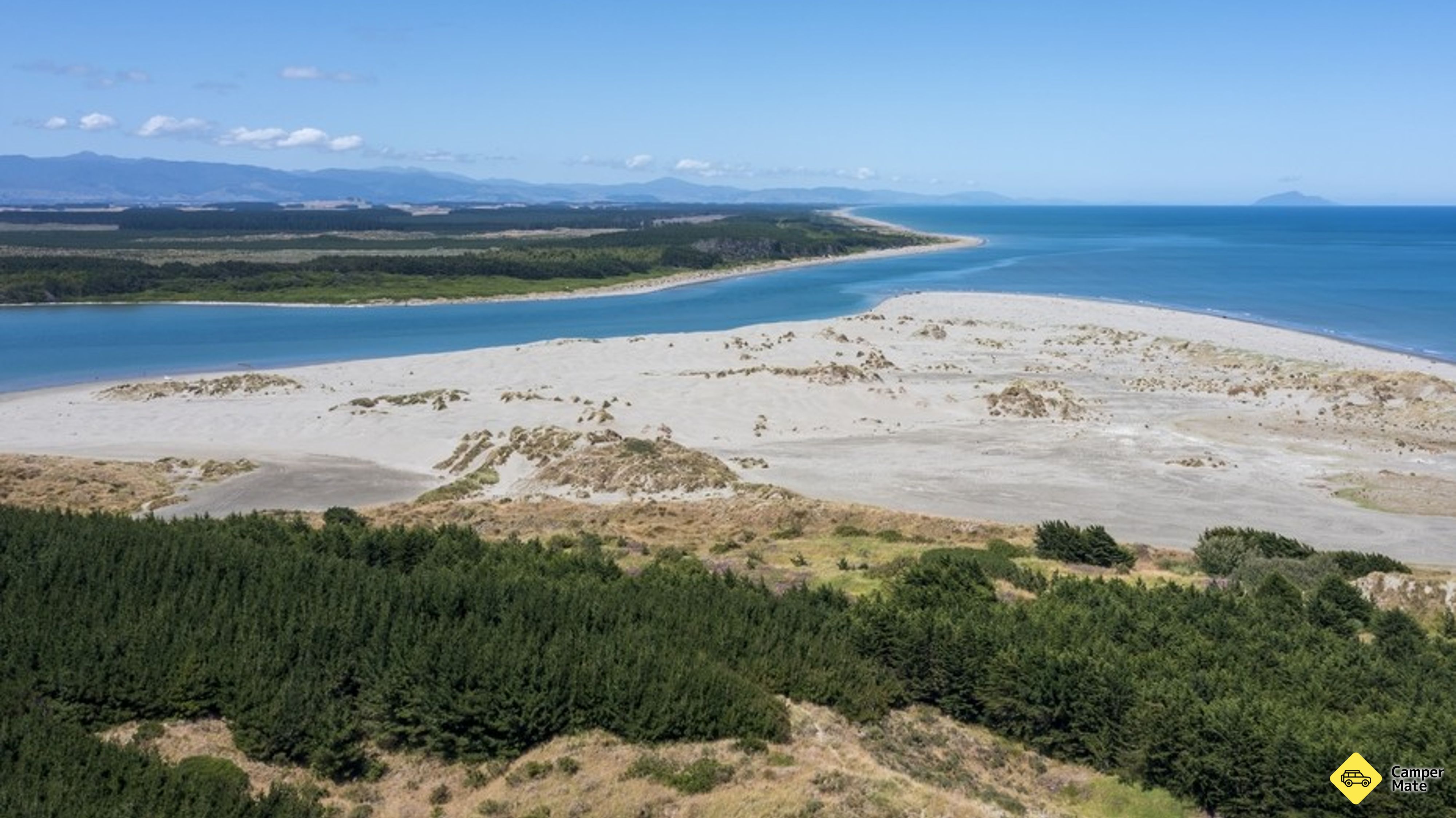 Manawatu River Estuary Vogelbeobachtung