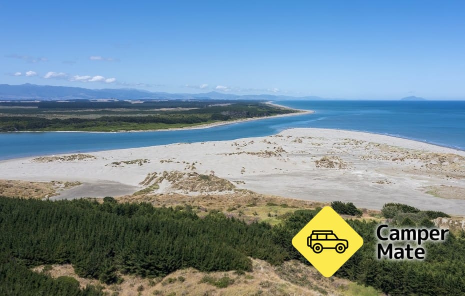 Manawatu River Estuary Bird Watching