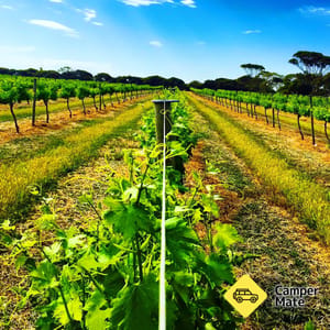 Barley Stacks Wines