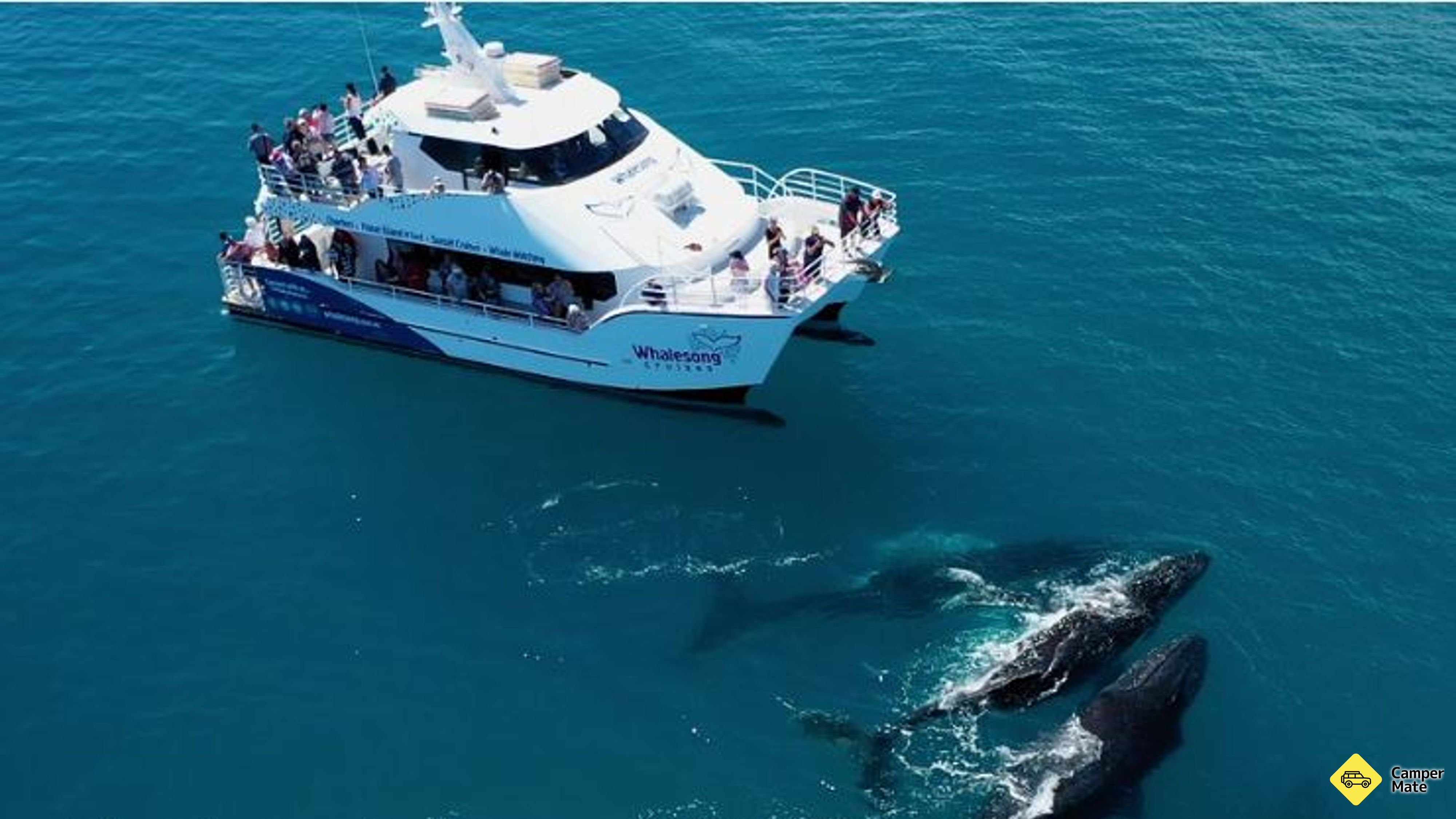 Restauranter i nærheden af Whalesong Cruises Hervey Bay