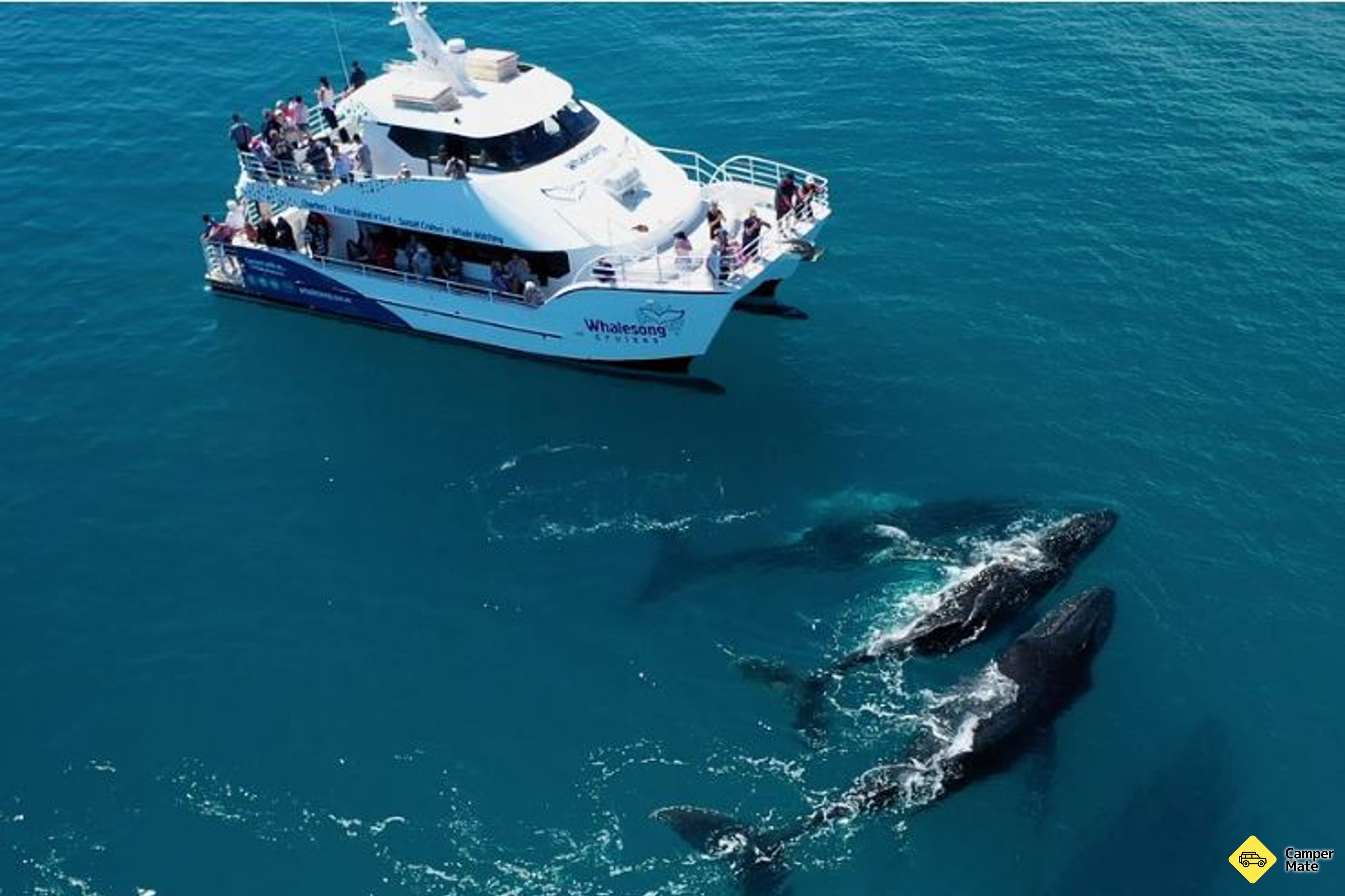 Restauranter i nærheden af Whalesong Cruises Hervey Bay