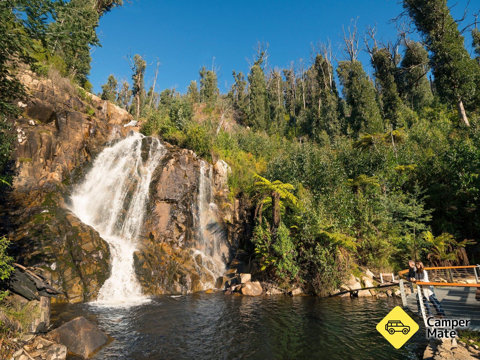 Steavenson Falls