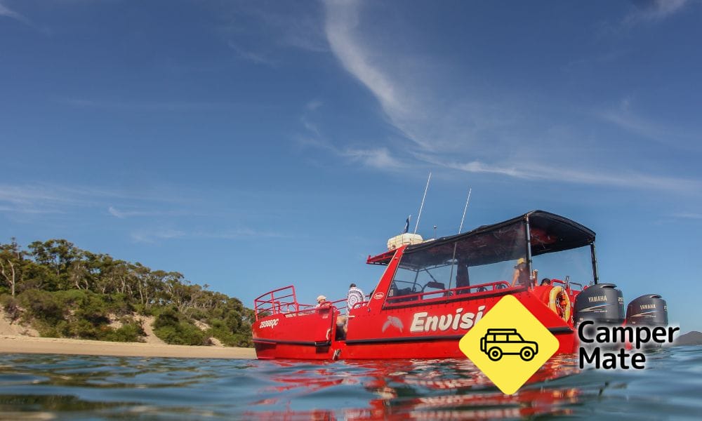Port Stephens Dolphin Watch Cruise - Image 3