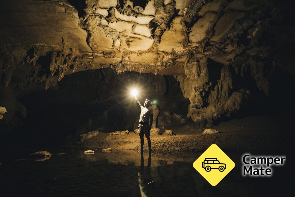 Waipu Caves Track - Image 2