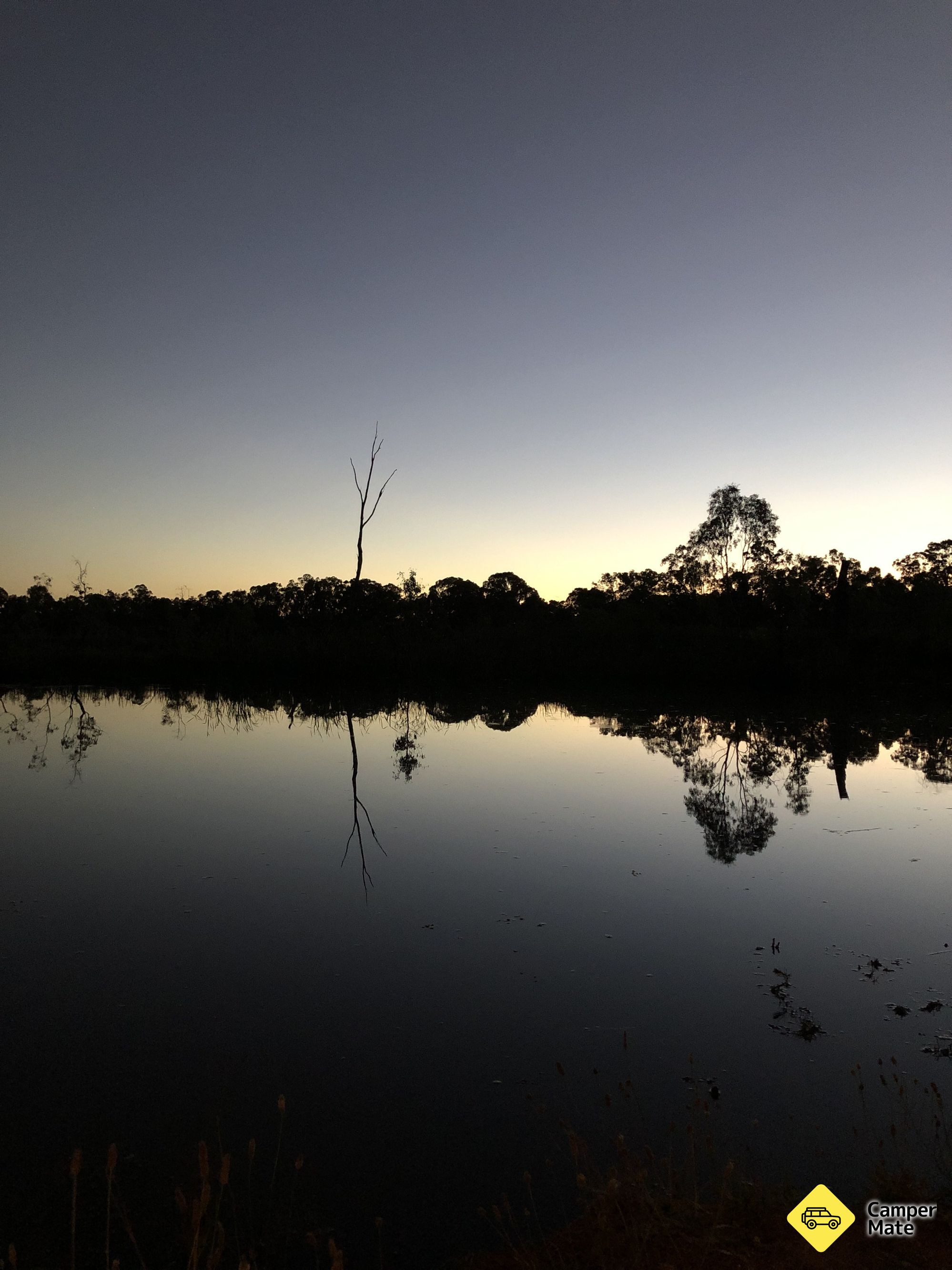 Foresta dello stato di Gunbower - Image 2