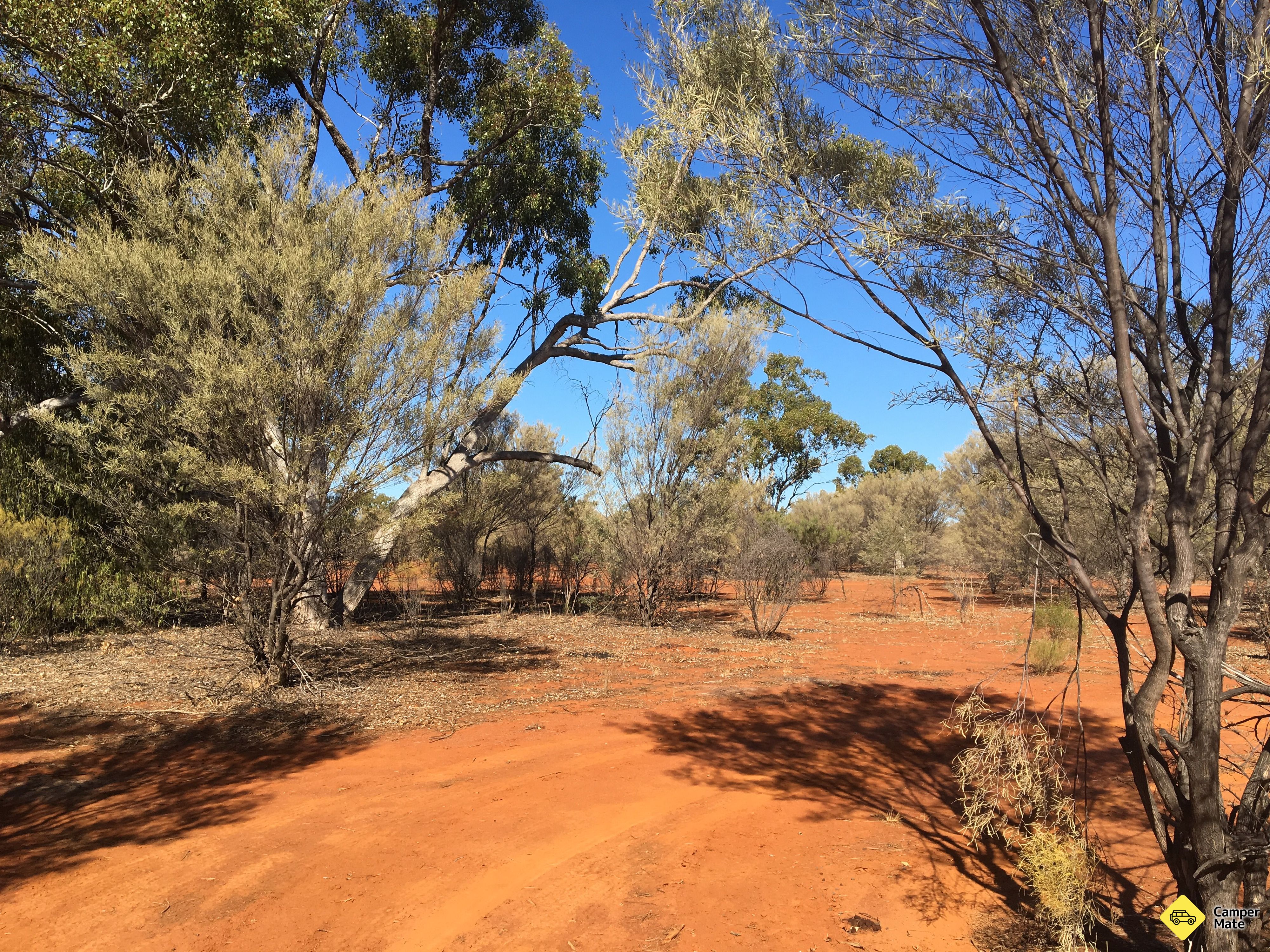 Kinchela Rest Area - Image 2
