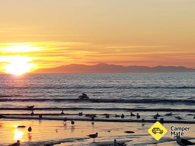 Kapiti Holiday Resort