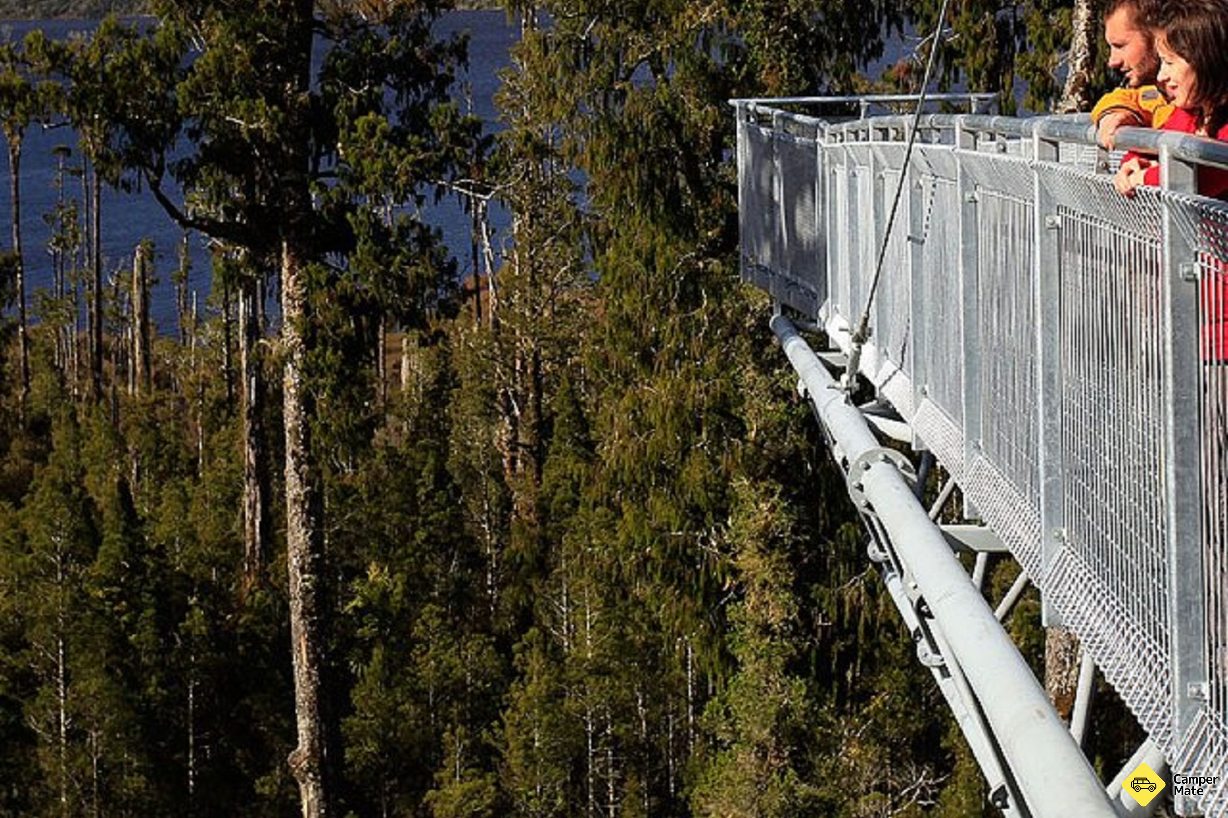 West Coast Treetop Walk, Cafe & Tower Zipline - Image 3