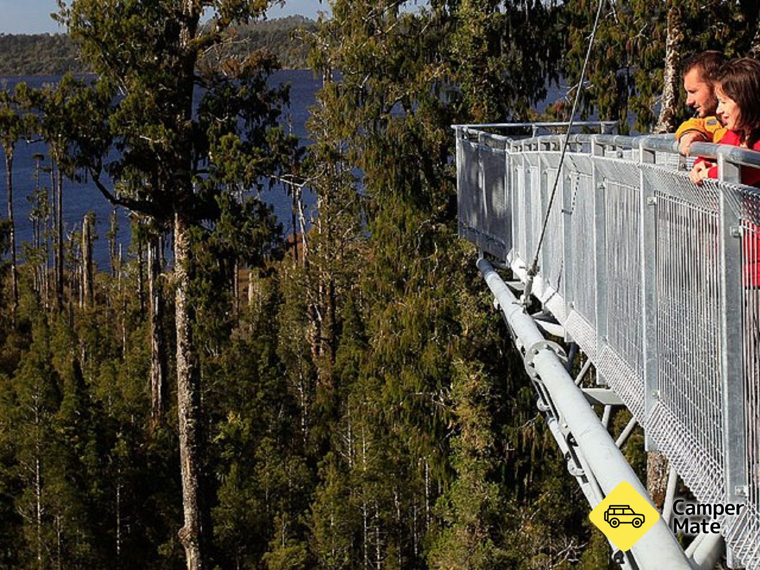 West Coast Treetop Walk, Cafe & Tower Zipline - Image 3