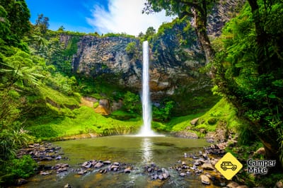 Waireinga / Bridal Veil Falls Walk