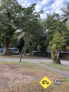 Pandanus Creek walking track