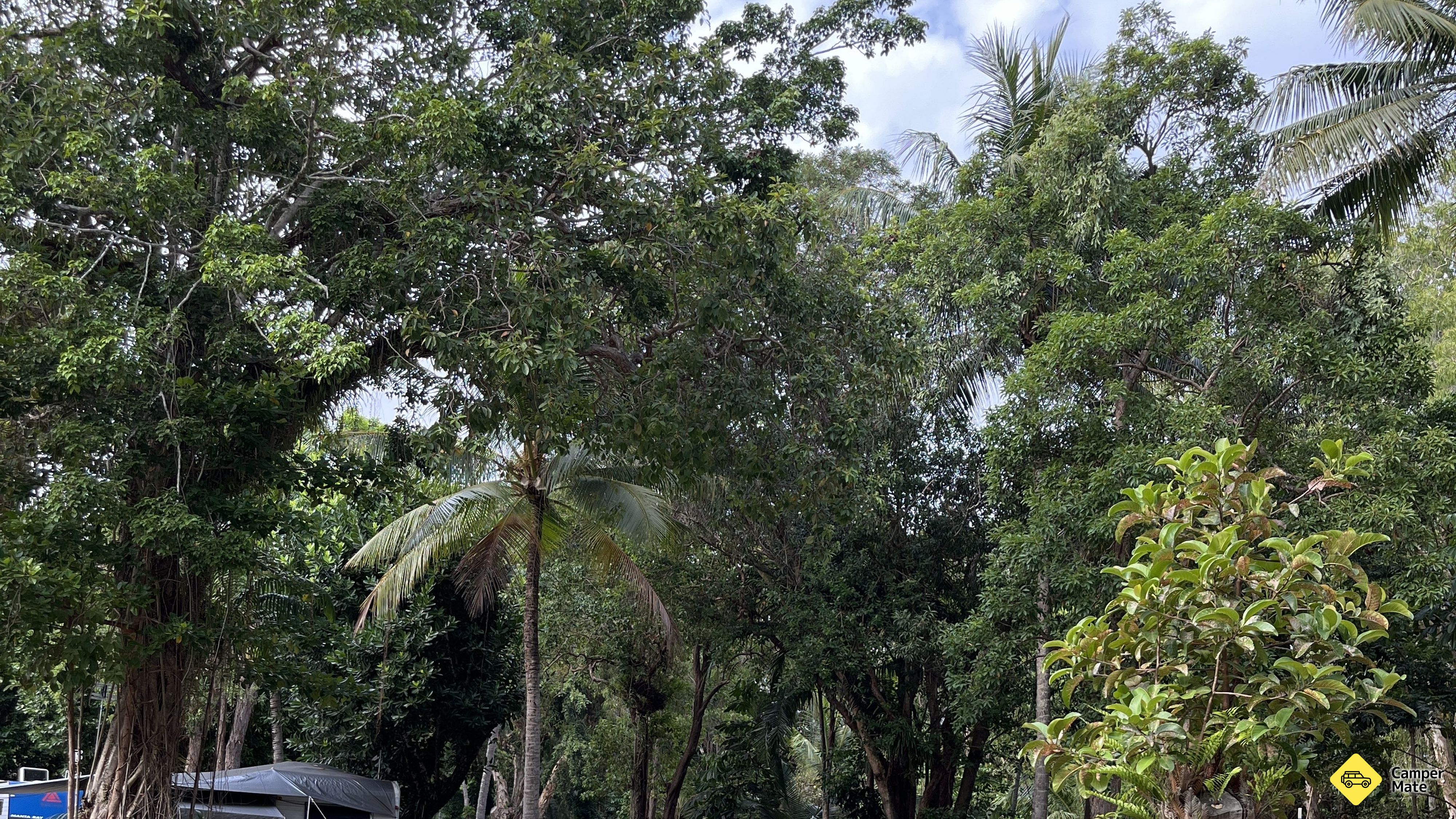 Bảng giá Pandanus Creek Walking Track