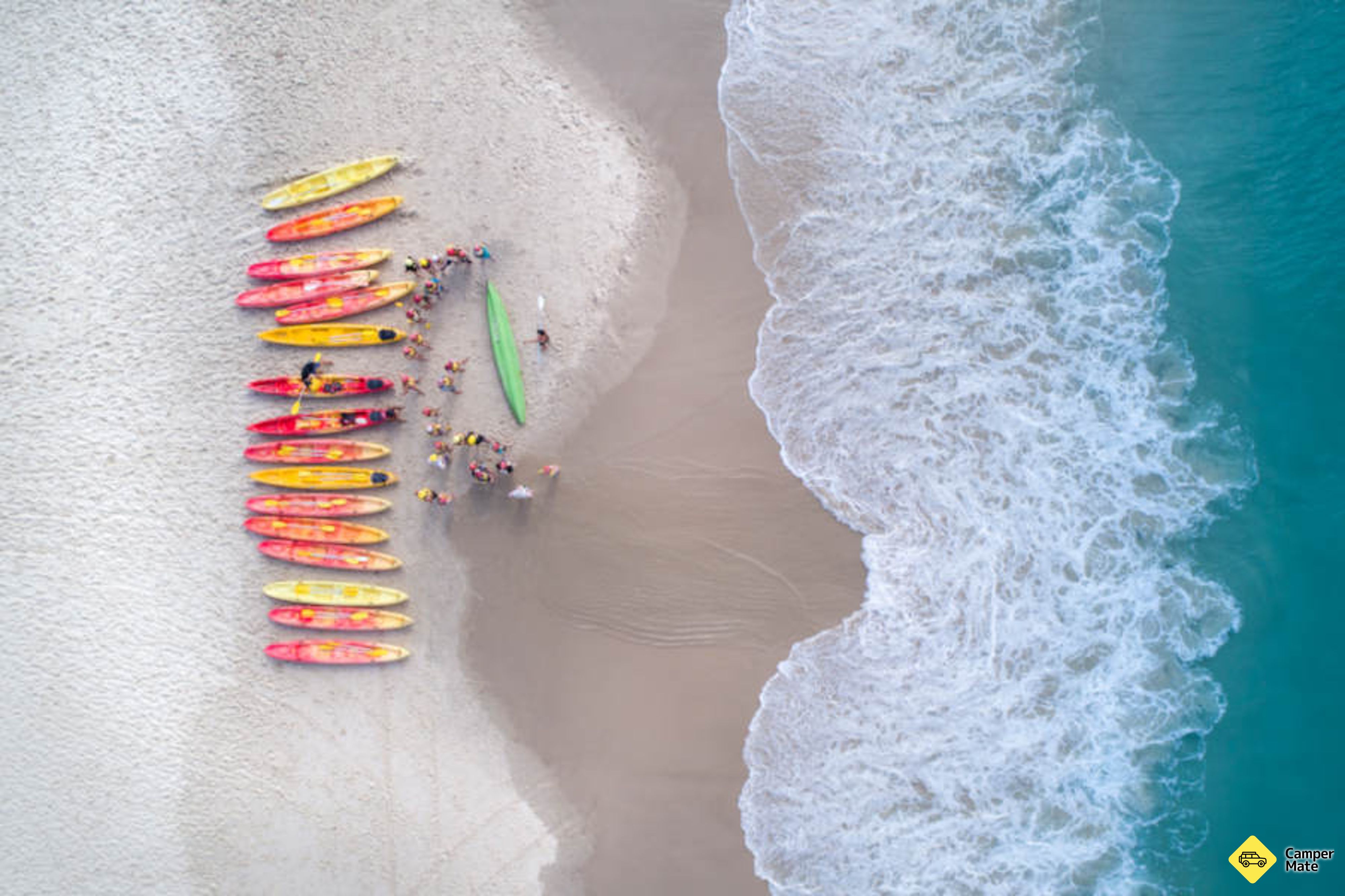 Hal yang dapat dilakukan di dekat Byron Bay Dolphin Kayaking Tour - Image 2