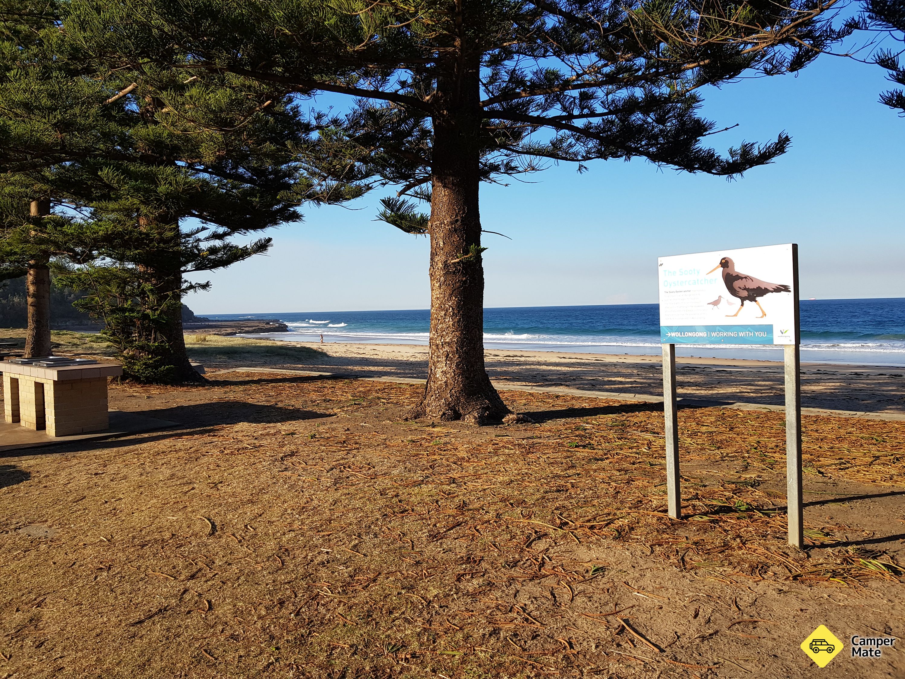 Coledale Beach Camping Reserve