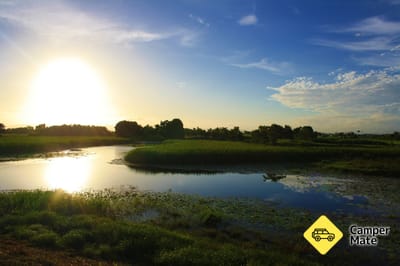 TYTO Wetlands