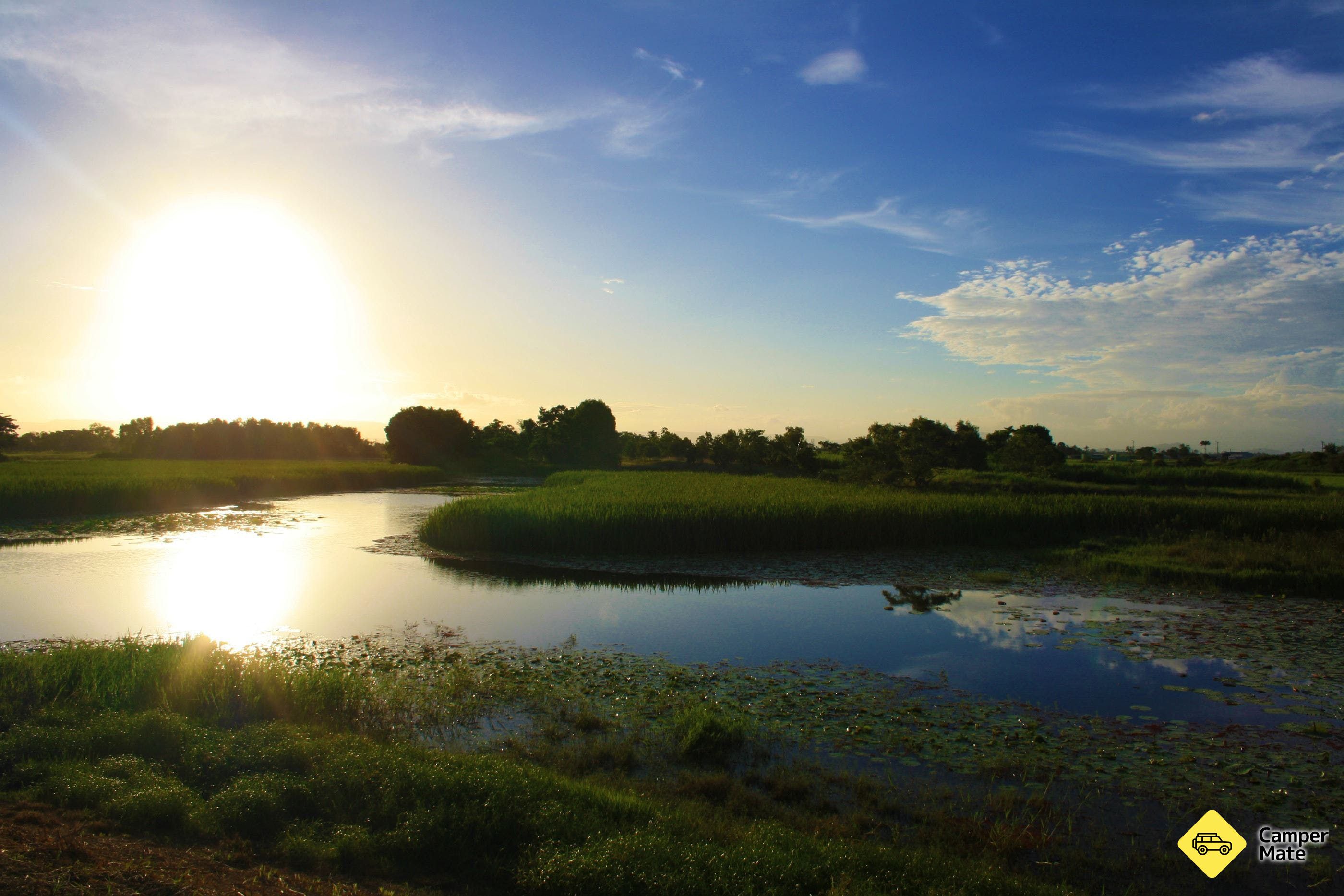 TYTO Wetlands