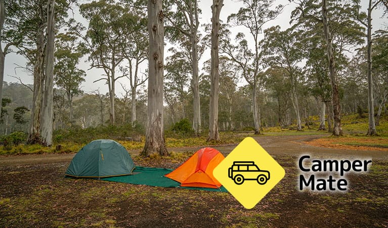 Polblue Campground - Image 2