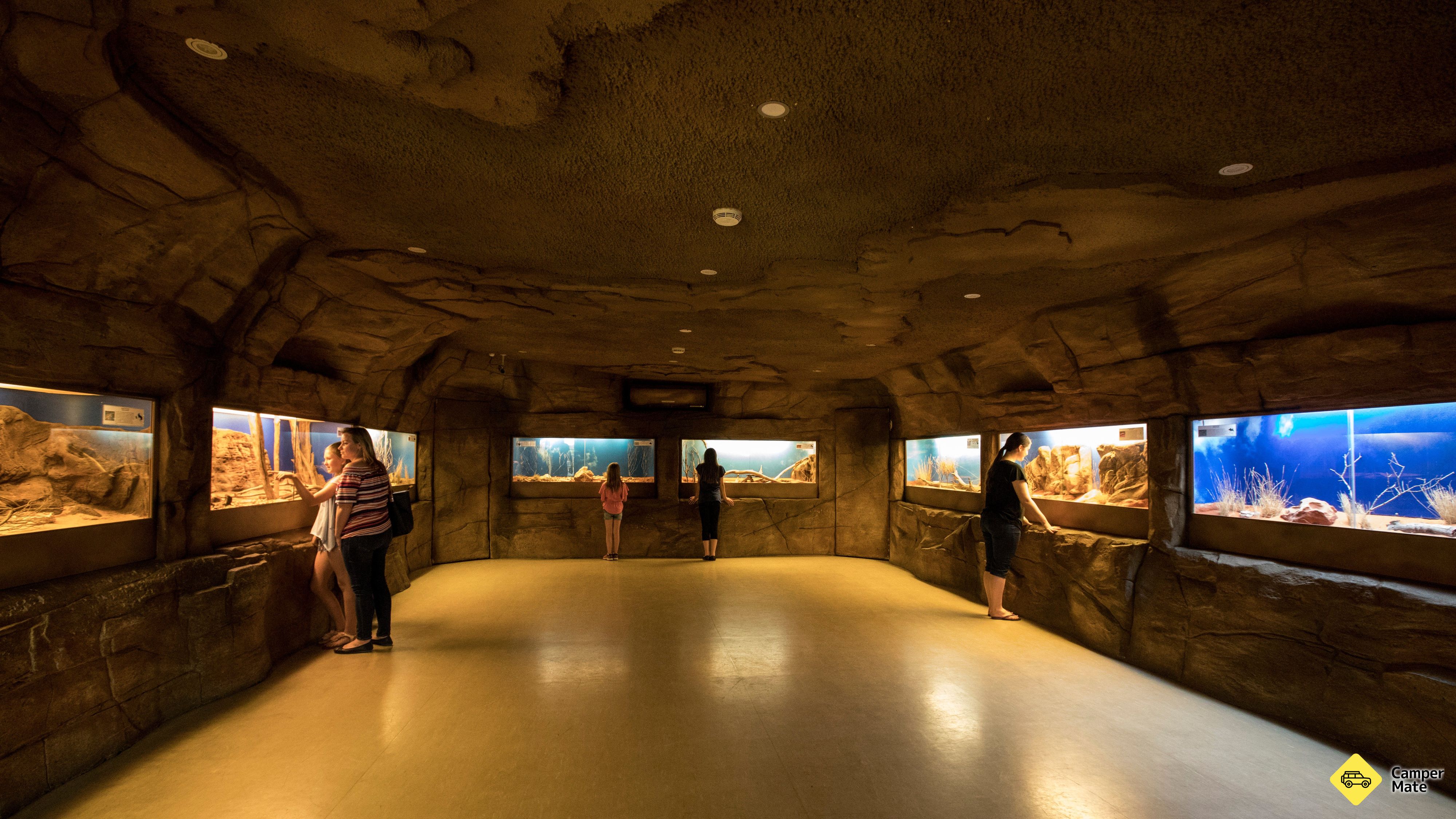 Alice Springs Reptile Centre - Image 2