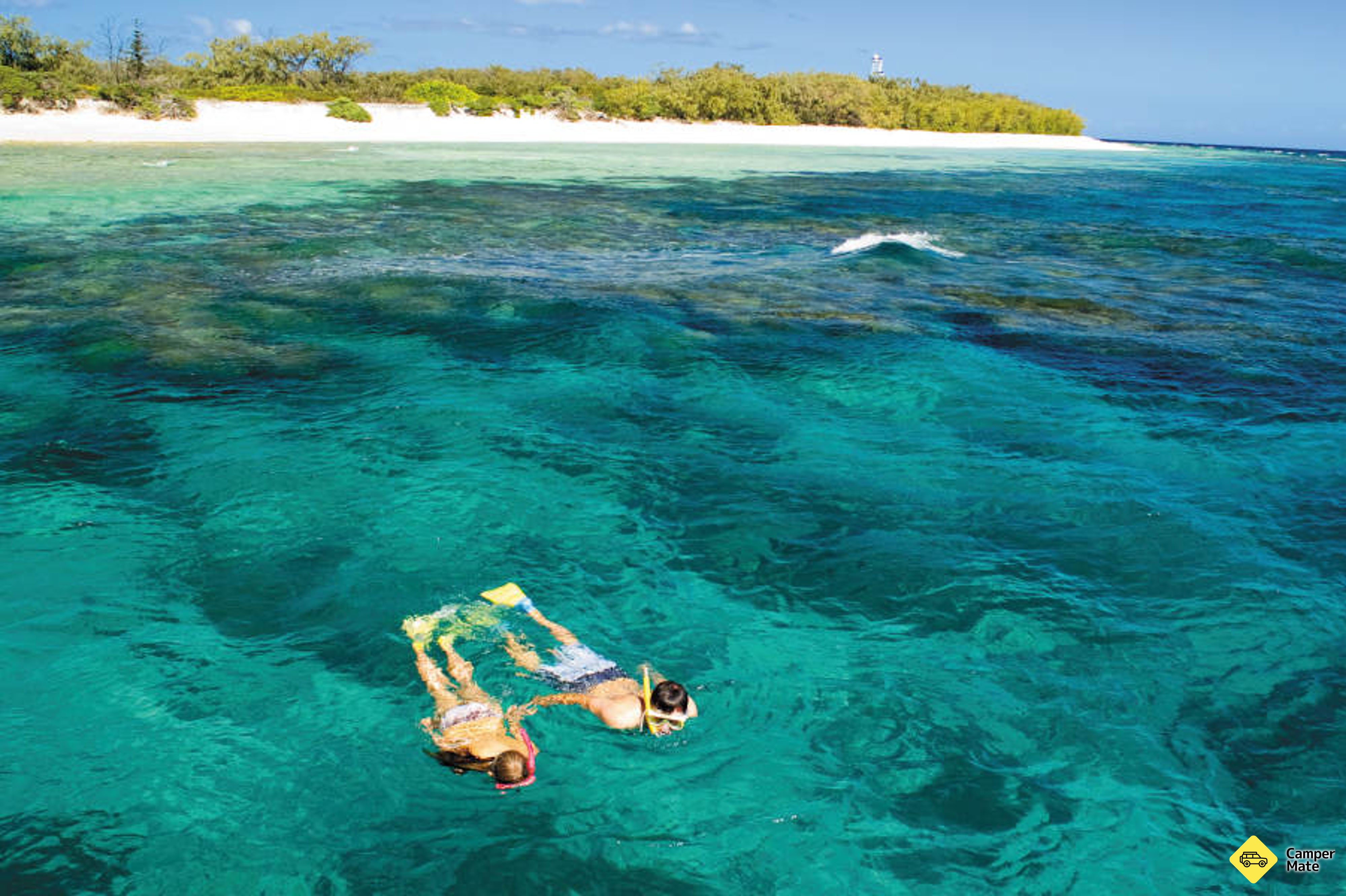 Tempat untuk menginap di Great Barrier Reef - Lady Musgrave Island - Image 3