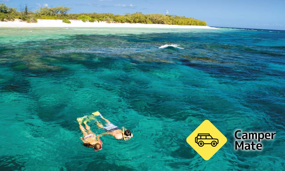 Southern Great Barrier Reef Cruise - אי ליידי מוסגרב - Image 3