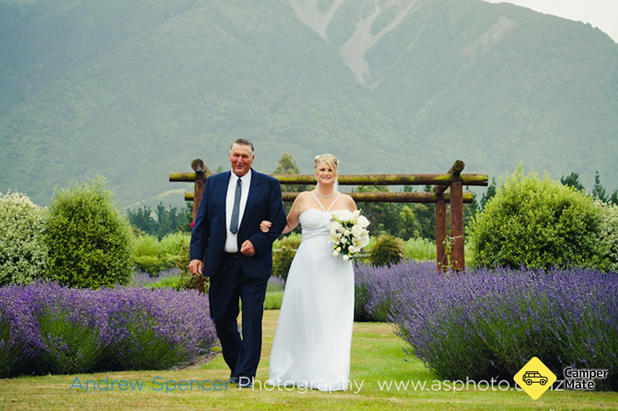 Kaikoura Lavender Farm - Image 2