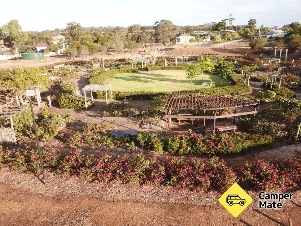 Kojonup Rose Maze - Image 2