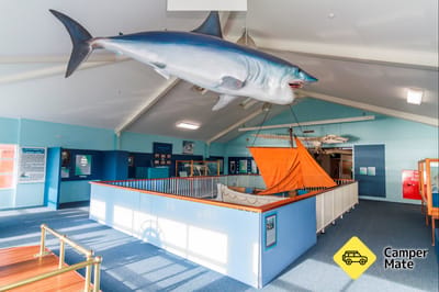 Eden Killer Whale Museum