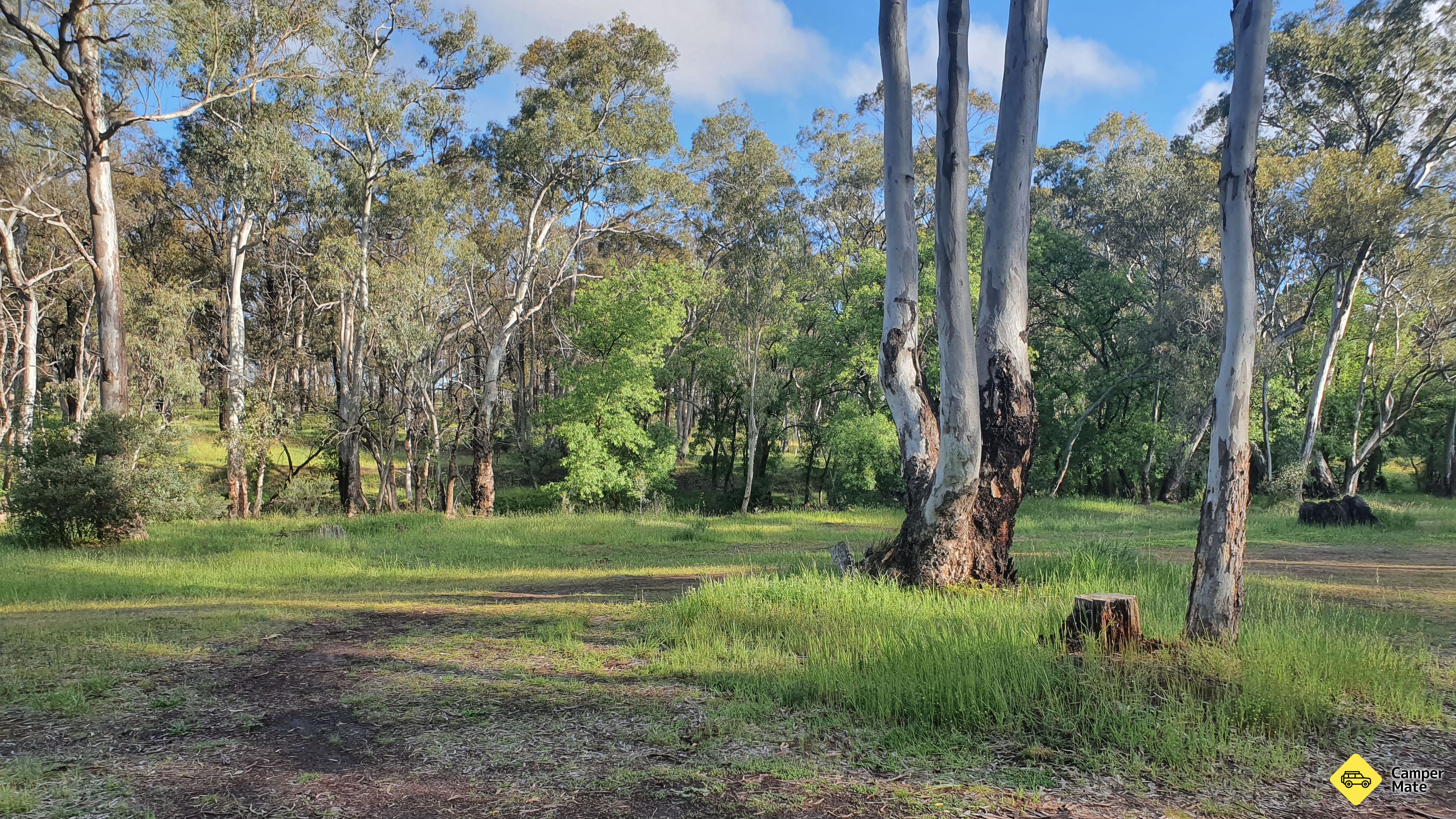 Ippinitchie Campground