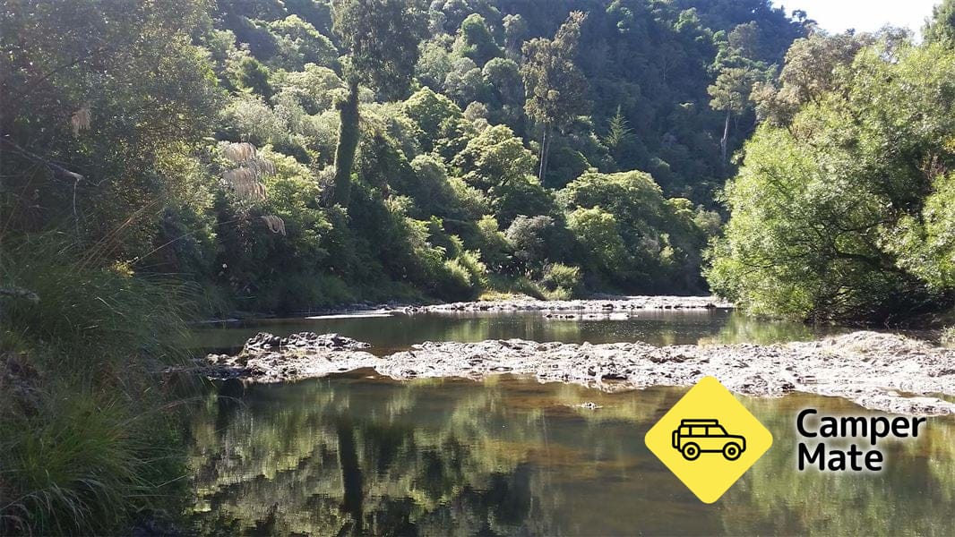 رحلات Whinray Scenic Reserve Track