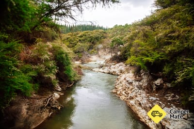 Waiotapu Stream Hot and Cold Springs