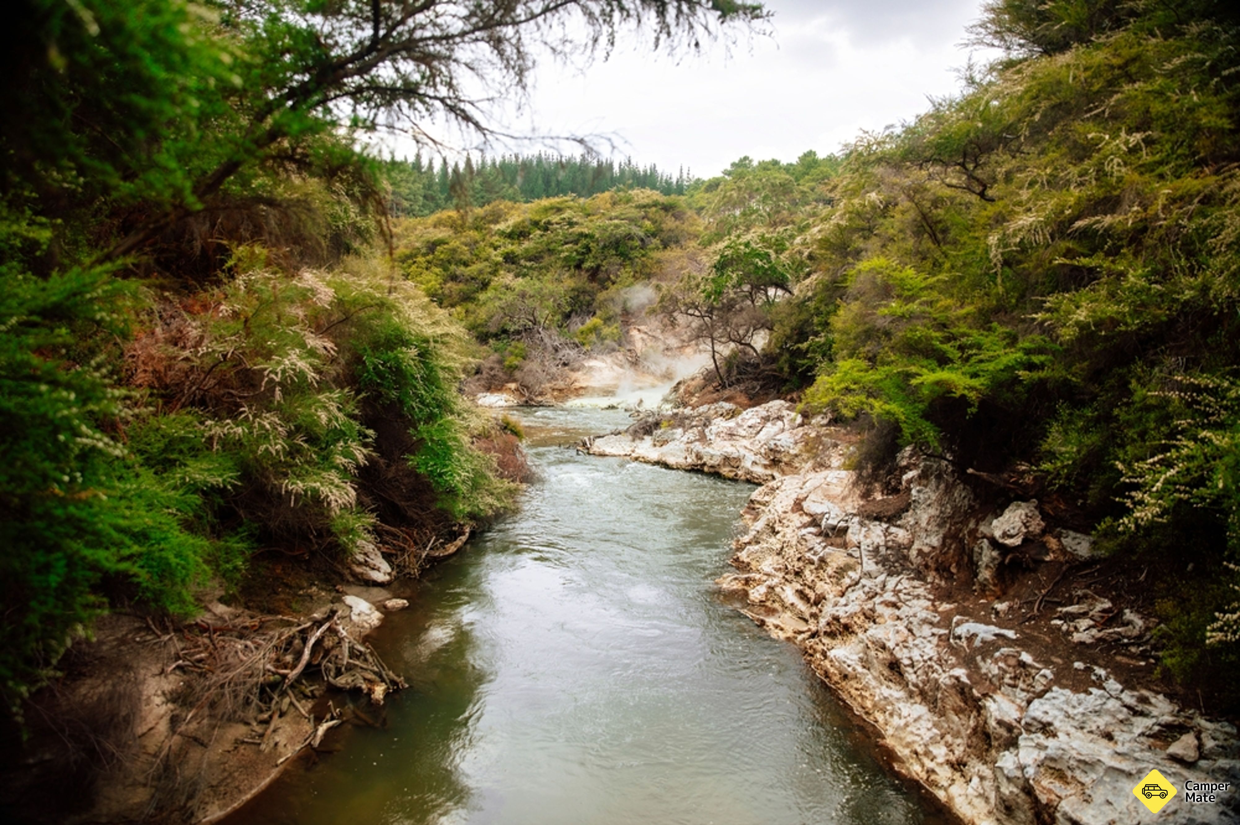 Waiotapu Stream Hot and Cold Springs