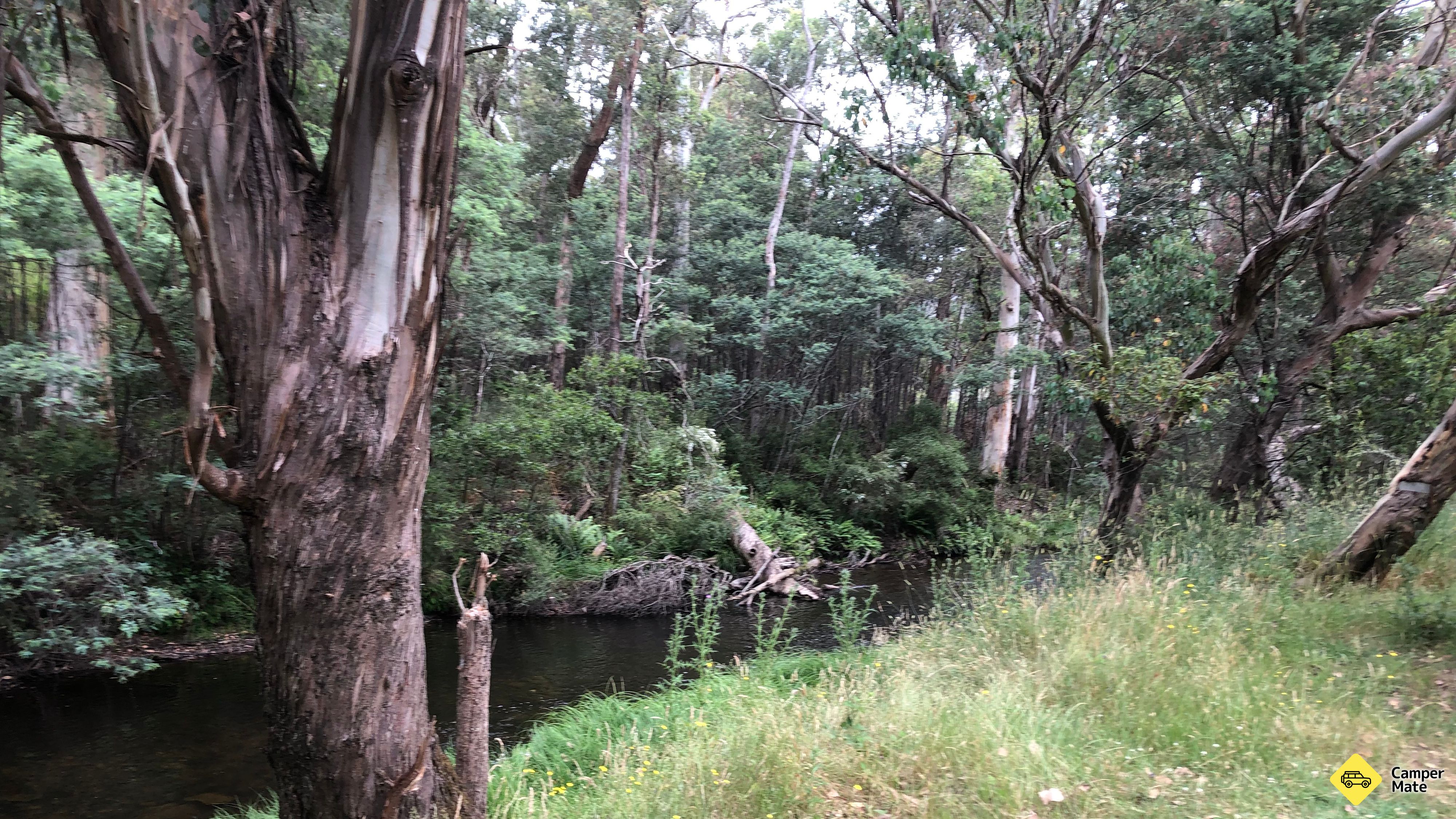 Gibbo River Bush Campingplätze