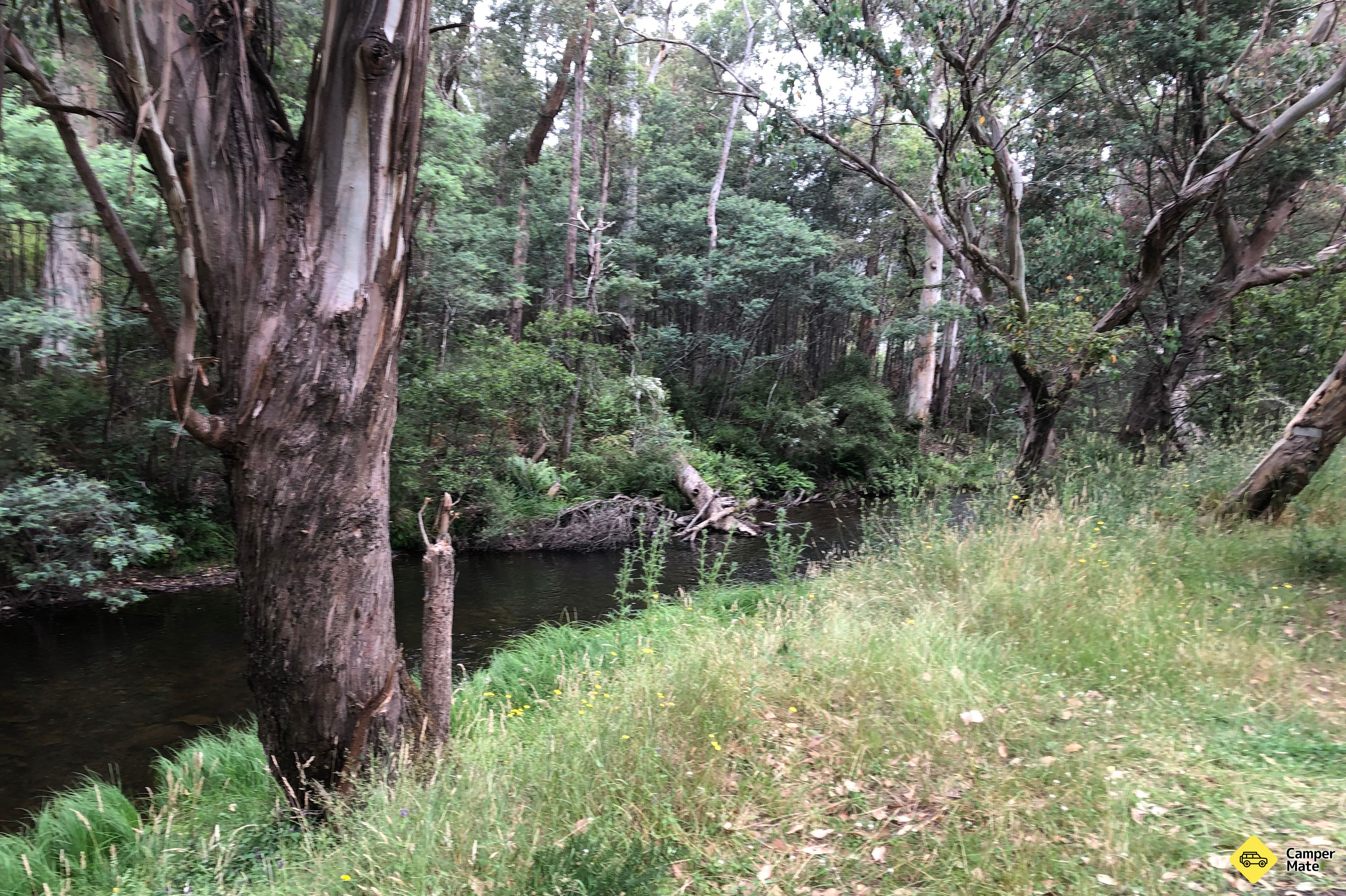 Gibbo River Bush Campingplätze
